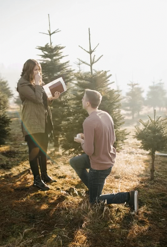 Christmas Proposal // Tree Farm